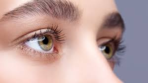 Eye Cure - Photo 1